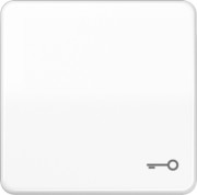 Wippe Symbol TÜR aws für Taster CD 590 BFT WW 