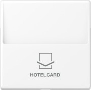 Hotelcard-Schalter schneeweiß matt A 590 CARD WWM 