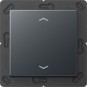 morepic-1