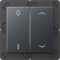 morepic-1
