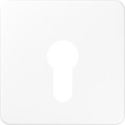 Abdeckung aws für Schlüsselschalt. CD 525 WW 