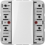 Tastsensor-Modul 2fach AC/DC24V 2-k. 4Sp. CD 5224 TSM 
