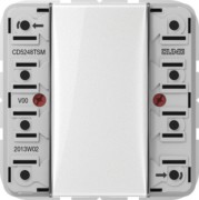 Tastsensor-Modul 4fach AC/DC24V 4-k. 8Sp. CD 5248 TSM 