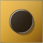 morepic-1