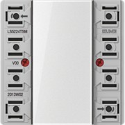 Tastsensor-Modul 2fach AC/DC24V 2-k. 4Sp. LS 5224 TSM 