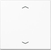 Steuertaste Standard Symbole Pfeile A 1700 BFP WW 