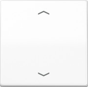 Steuertaste Standard Symbole Pfeile AS 1700 P WW 