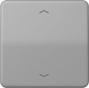 Steuertaste Standard Symbole Pfeile CD 1700 P GR 