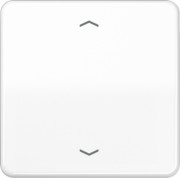 Steuertaste Standard Symbole Pfeile CD 1700 P WW 