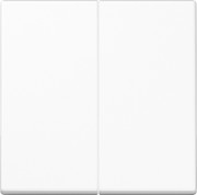 Steuertaste 2-fach Standard A 1702 BF WW 
