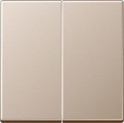 Steuertaste 2-fach Standard A 1702 CH 