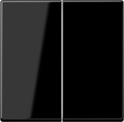 Steuertaste 2-fach Standard A 1702 SW 