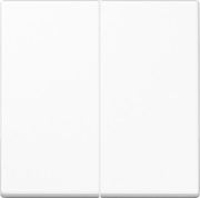 Steuertaste 2-fach Standard A 1702 WW 