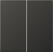 Steuertaste 2-fach Standard AL 1702 AN 