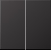 Steuertaste 2-fach Standard AL 1702 D 