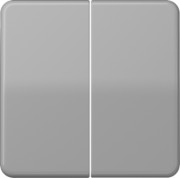 Steuertaste 2-fach Standard CD 1702 GR 