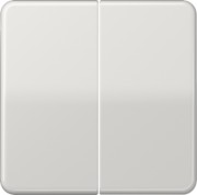 Steuertaste 2-fach Standard CD 1702 LG 