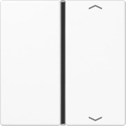 Taste 1-fach aws mit Symbolen A 401 TSAP WW 