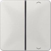 Taste 1-fach lgr Symbol Auf/Ab CD 401 TSAP LG 