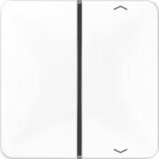 Taste 1-fach aws Symbol Auf/Ab CD 401 TSAP WW 