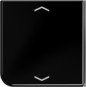 morepic-1