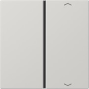 Taste 1-fach lgr Symbol Auf/Ab LS 401 TSAP LG 