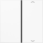 Taste 1-fach aws Symbol Auf/Ab LS 401 TSAP WW 