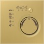 morepic-1