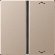 Taste 1-fach champ. mit Symbolen A 401 TSAP CH 