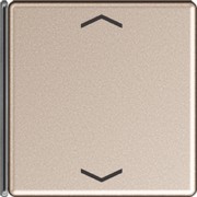 Taste 4-fach champ. mit Symbolen A 404 TSAP CH 14 