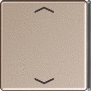 Taste 4-fach champ. mit Symbolen A 404 TSAP CH 23 