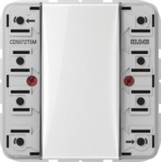 KNX Tastsensor-Modul Standard, 2fach CD 5072 TSM 