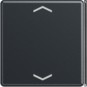 morepic-1