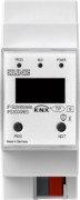 IP-Schnittstelle IPS 300 SREG 