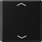 morepic-1