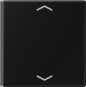 morepic-1