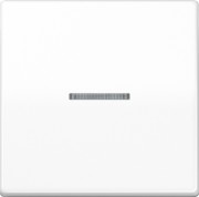 KNX RF Taster 1fach Duroplast, Serie AS 10911 ST WW 
