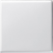Wippe Wechselsch. rws-gl System55 029603 