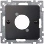 morepic-1