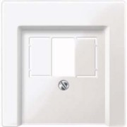 Zentralplatte pws/gl für Anschlussdose 296019 