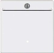 Card-Schalter pws beleuchtbar 315419 