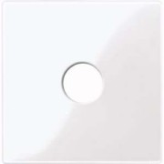 Zentralplatte aws/gl für Anschlusseinheit 451825 