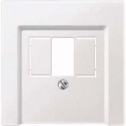 Zentralplatte pws für TAE-Dose 297919 