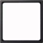 morepic-1