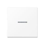 KNX RF Taster 1fach Thermoplast lackiert A 10911 ST BF WWM 