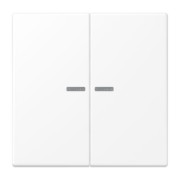 KNX RF Taster 2fach Duroplast lackiert LS 10921 ST WWM 