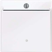 Card-Schalter aws/gl beleuchtbar 315625 