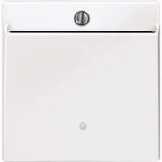 Card-Schalter pws/gl beleuchtbar 315619 