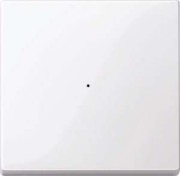 Wippe aws/gl f.Tastermodul 1f. 619125 