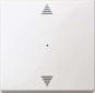 morepic-1